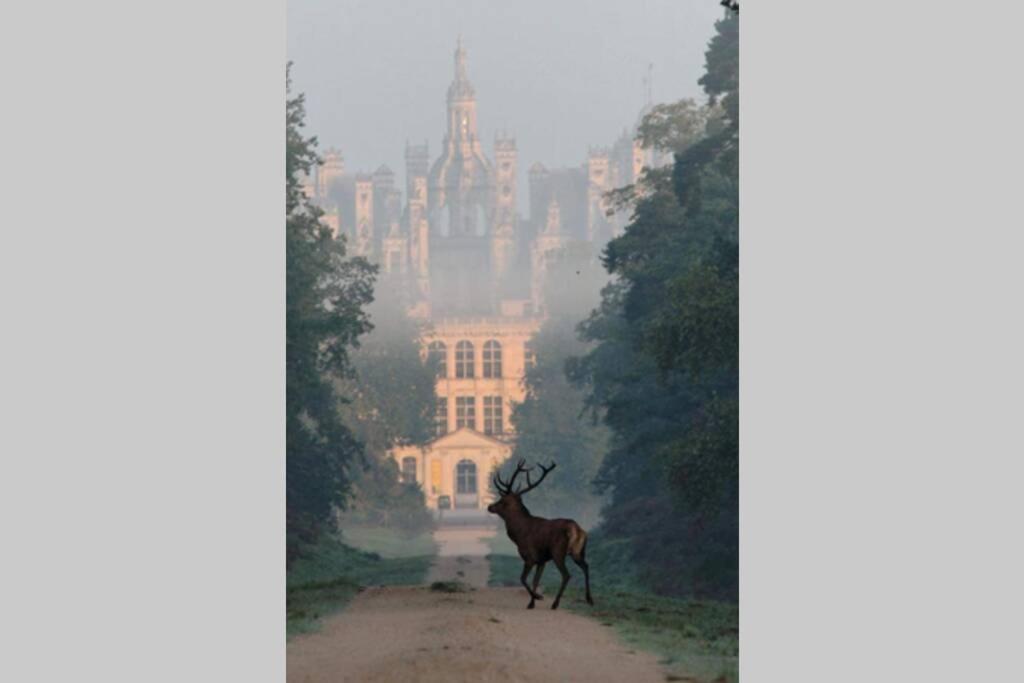 Les Bruyères de Jeanne et René Zoo de Beauval à 20min,Châteaux TOUT INCLUS Fontguenand Exterior foto
